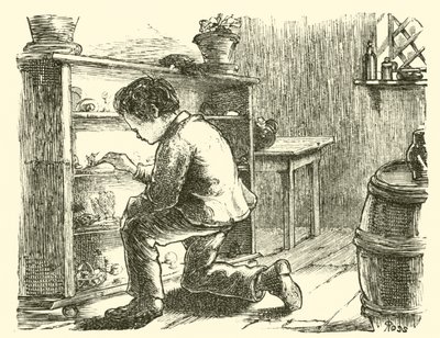 Edward Forbes, zijn miniatuurmuseum inrichten door English School